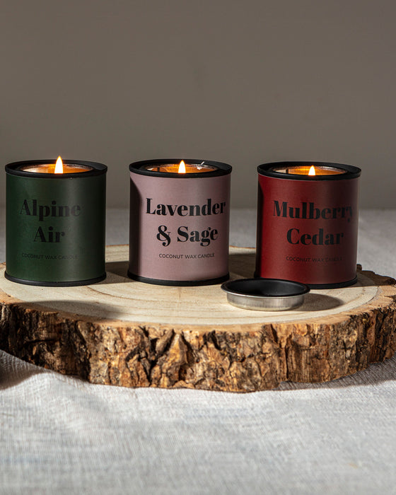 Mulberry Cedar Core Conscious Candle