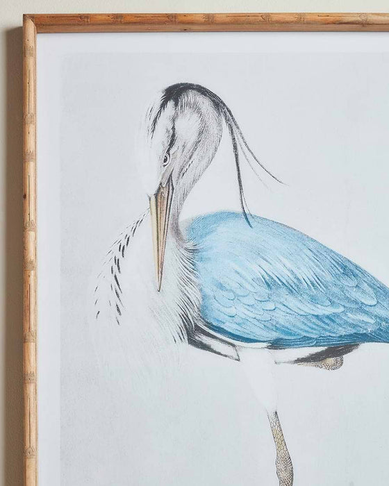 Two Heron Framed Prints