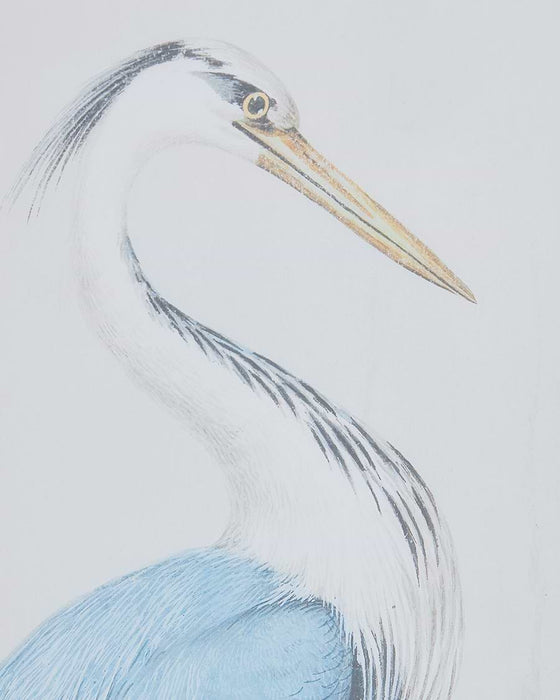 Two Heron Framed Prints