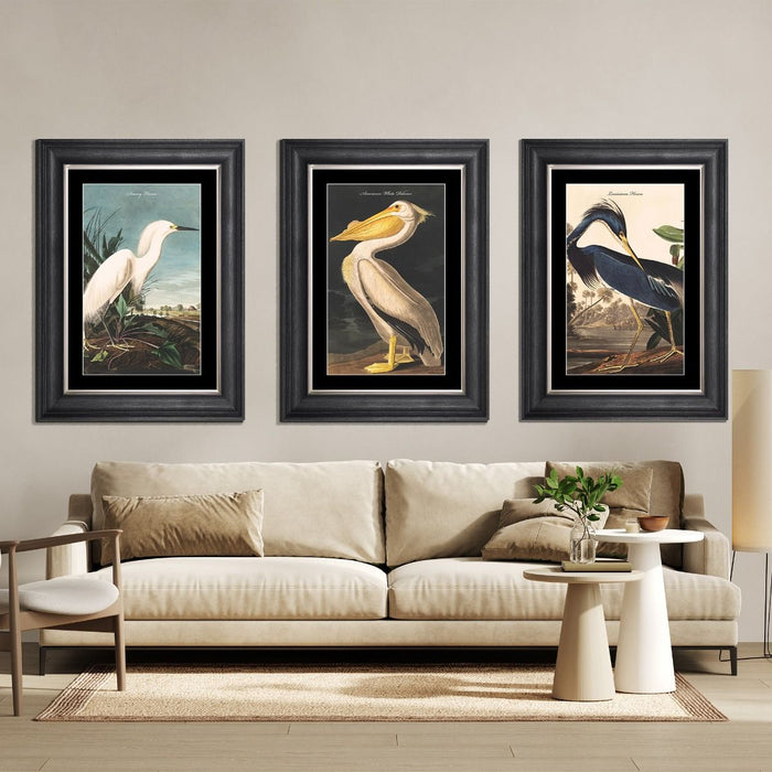 Snowy Heron Framed Print - In Stock