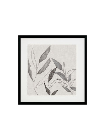 Botanical Sketch I Framed Art Framed Picture