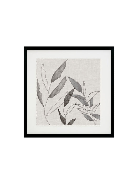 Botanical Sketch I Framed Art Framed Picture
