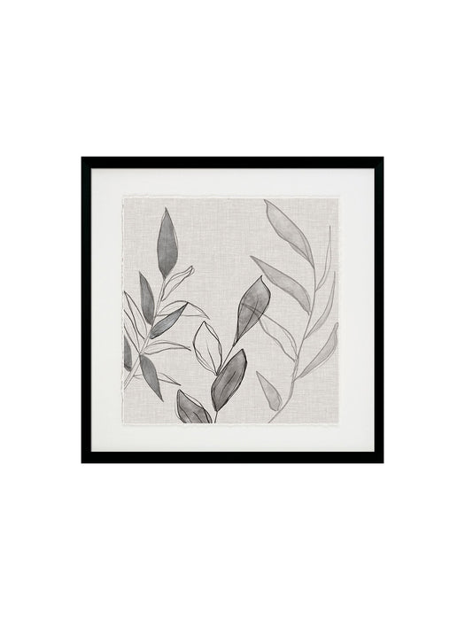 Botanical Sketch II Framed Art Framed Picture