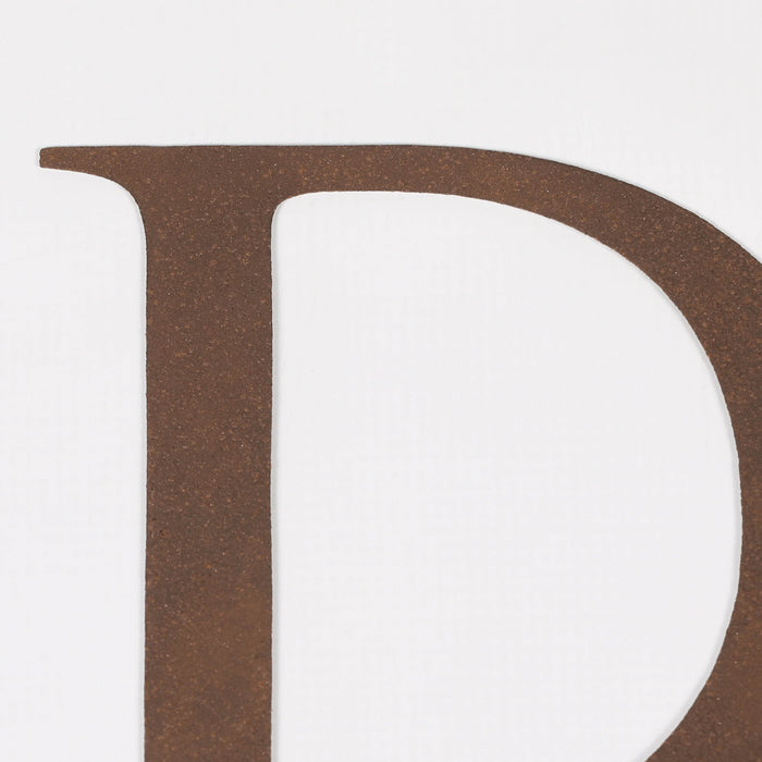 6 Rustic Iron Letter - D