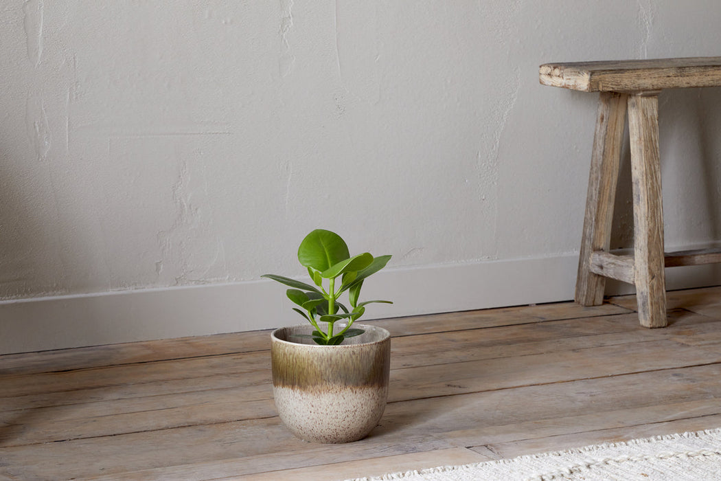 Almeida Reactive Glaze Plant Pot Olive Natural