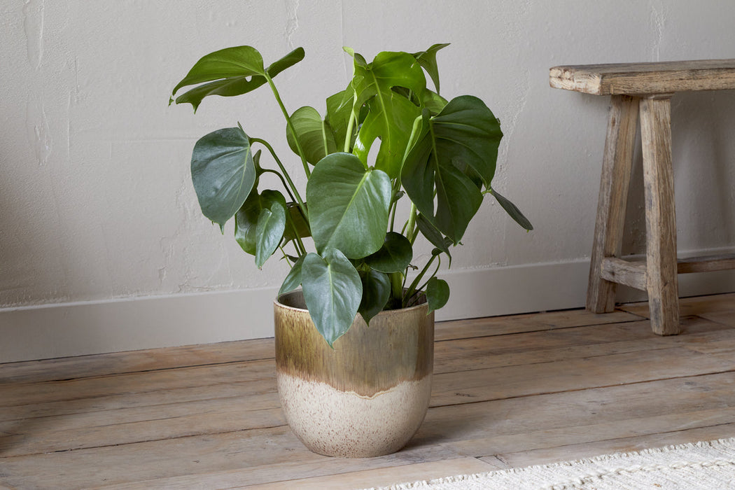 Almeida Reactive Glaze Plant Pot Olive Natural