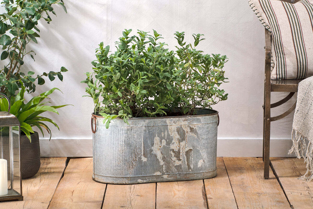 Akasa Trough Planter Zinc