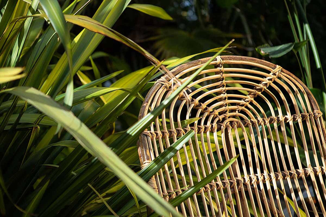 Arlia Rattan Lounger