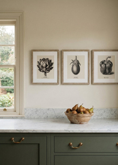 Vintage Vegtables Set of three Framed Prints
