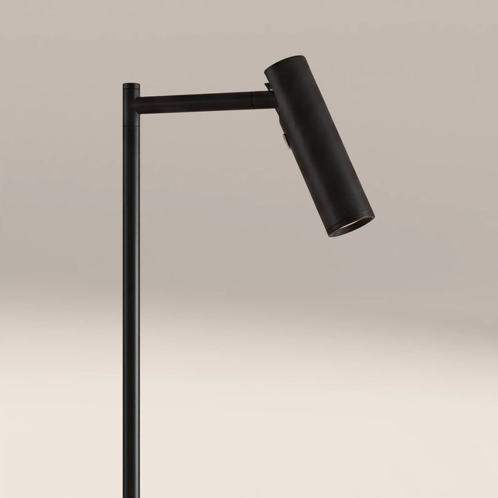 Dedicated Reader Floor Lamp