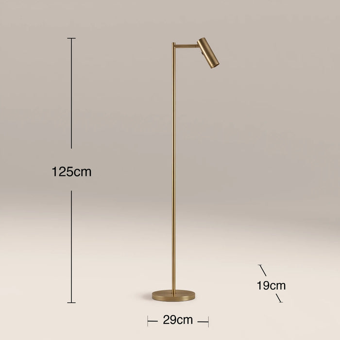 Dedicated Reader Floor Lamp