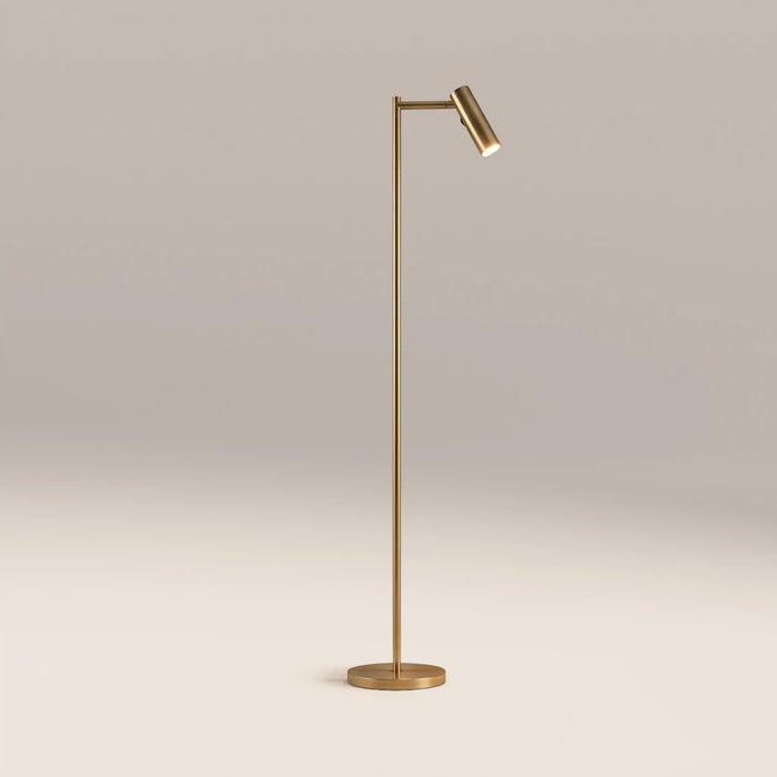 Dedicated Reader Floor Lamp