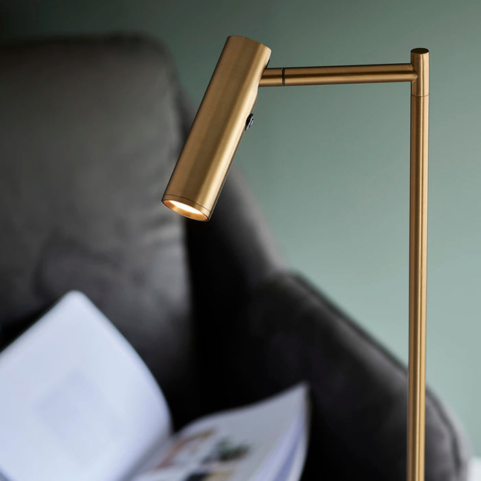 Dedicated Reader Floor Lamp