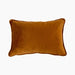 Delaney Rectangle Cushion | Tan Velvet