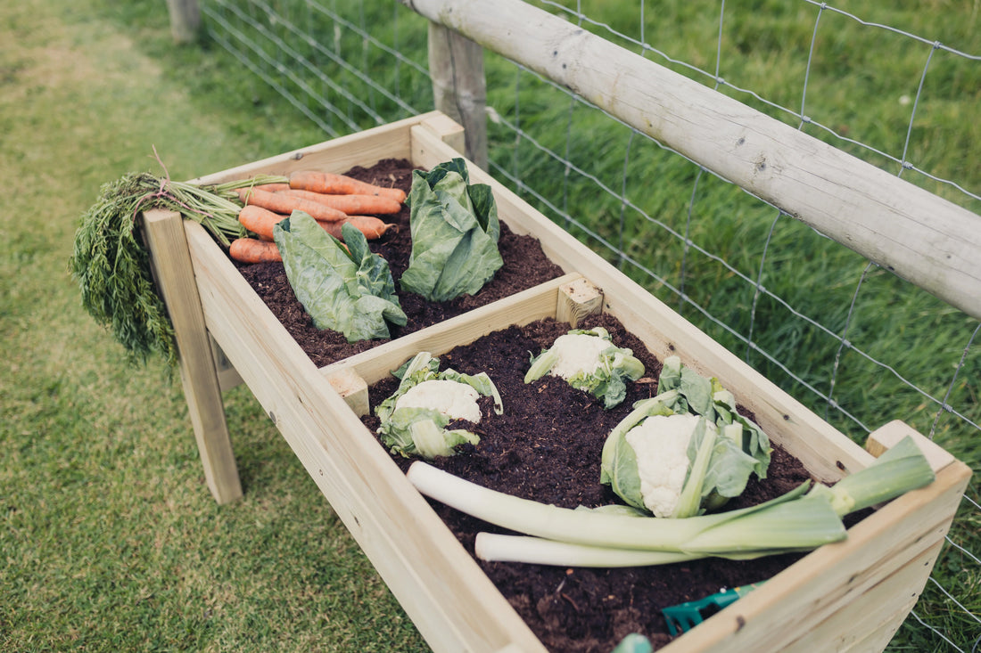 Raised Wooden Vegetable Planter Scandinavian Redwood Garden Bed