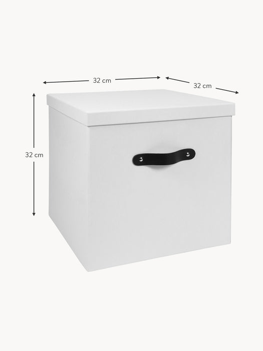 Storage Box Texas