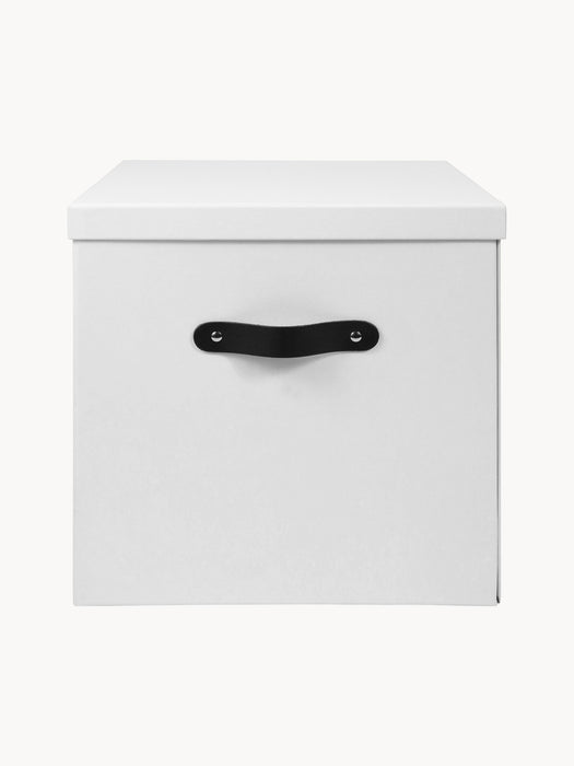 Storage Box Texas