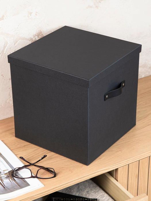 Storage Box Texas
