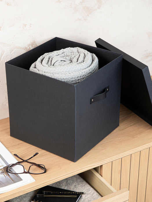 Storage Box Texas