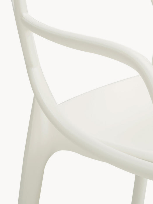 Dining Chairs Masters with Armrests Set of 2