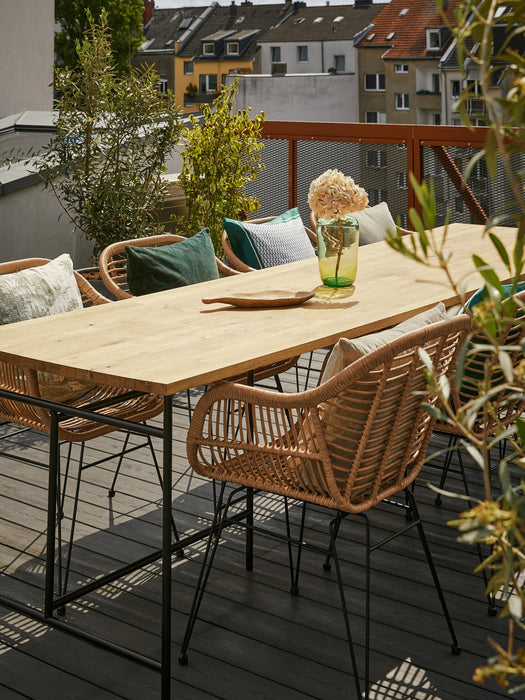 Polyrattan Dining Chairs Costa with Armrests Set of 2