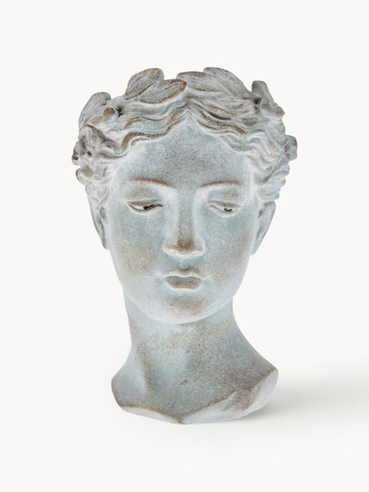 Cover Pot Pass