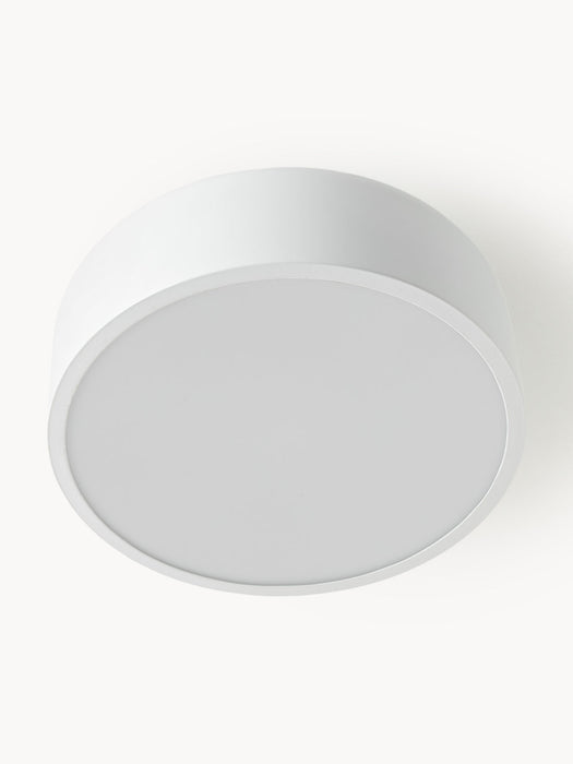 Ole Metal Ceiling Lamp