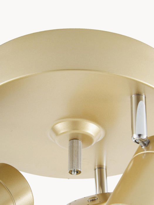 Adjustable LED Ceiling Lamp Correct