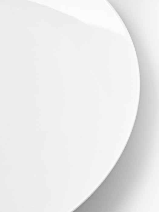 Porcelain Dinner Plates Delight Set of 4