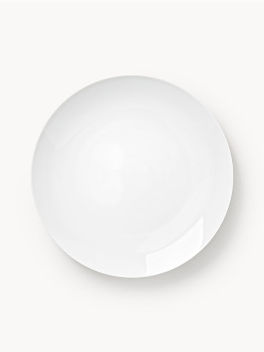 Porcelain Dinner Plates Delight Set of 4