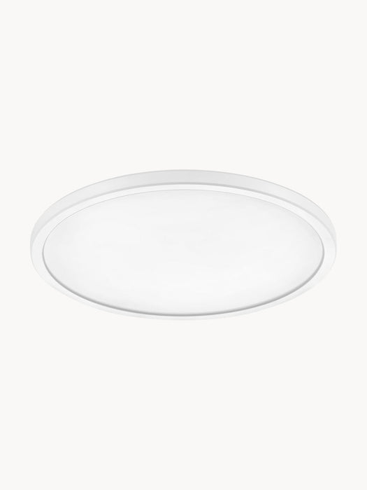 Small Dimmable LED Ceiling Lamp Oja