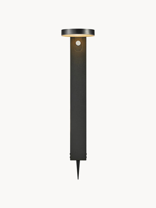 Solar Pathway Light Rica with Motion Sensor
