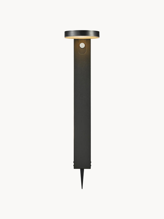 Solar Pathway Light Rica with Motion Sensor