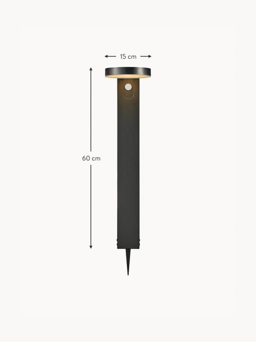 Solar Pathway Light Rica with Motion Sensor