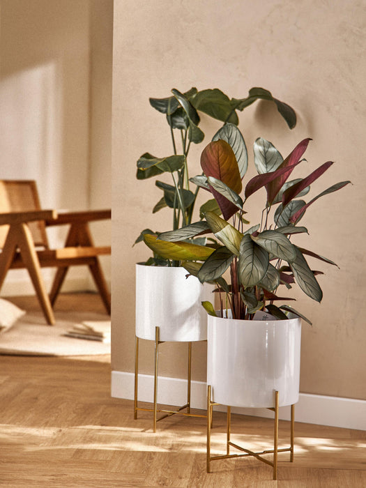 Mina Metal Cover Pots, Set of 2