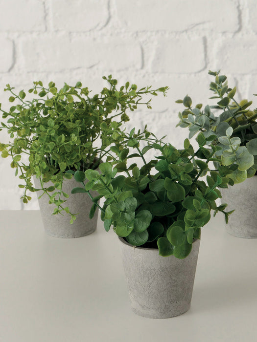 Artificial Potted Plants Timothy Set of 3