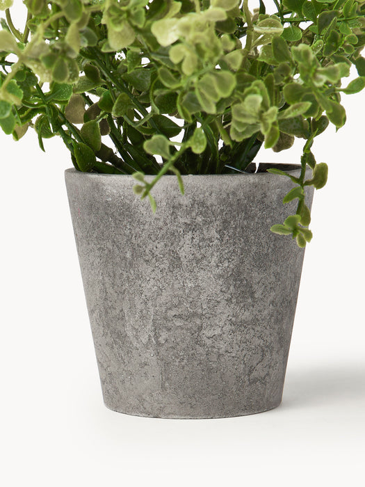 Artificial Potted Plants Timothy Set of 3