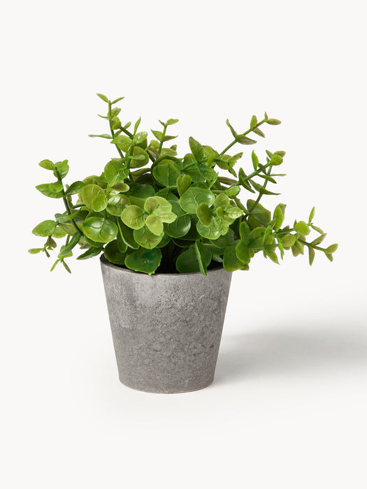 Artificial Potted Plants Timothy Set of 3