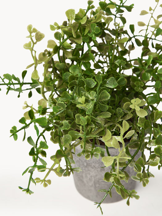 Artificial Potted Plants Timothy Set of 3
