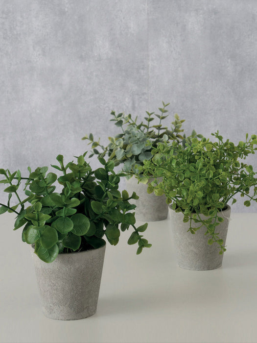 Artificial Potted Plants Timothy Set of 3