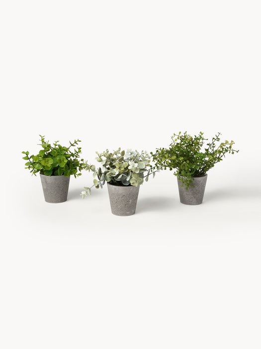 Artificial Potted Plants Timothy Set of 3