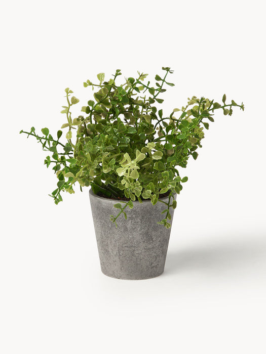 Artificial Potted Plants Timothy Set of 3