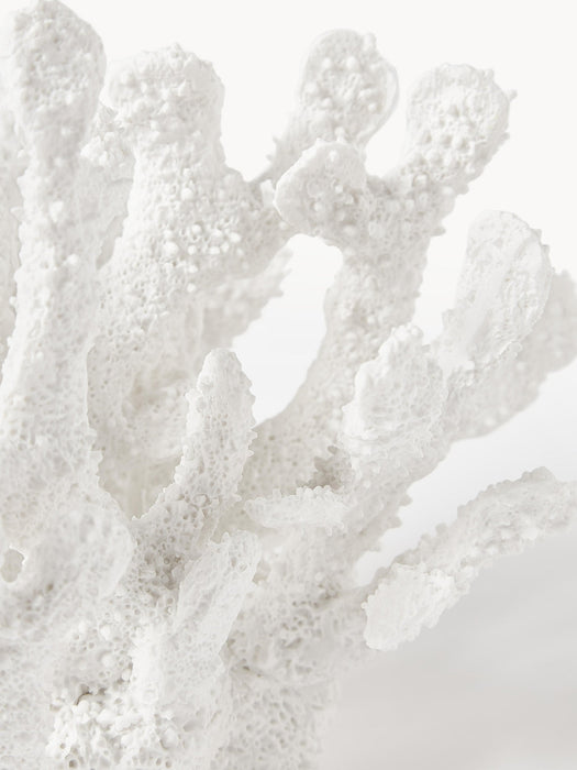 Coral Design Decorative Object