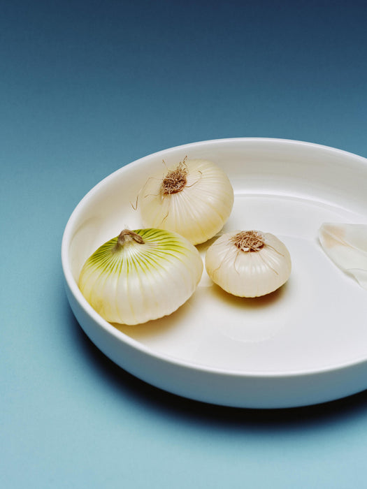 Porcelain Pasta Plates Nessa Set of 4