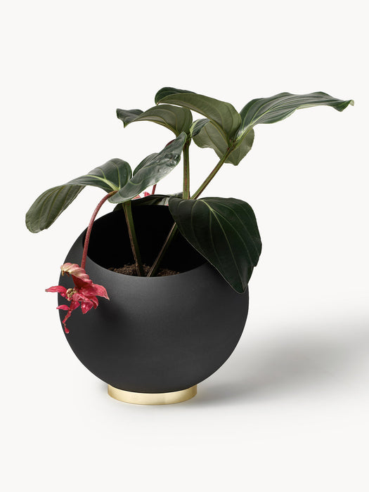 Globe Metal Cover Pot