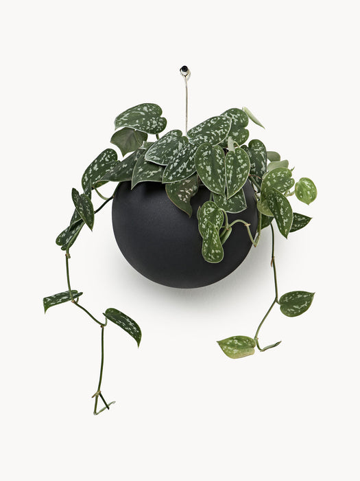 Globe Metal Hanging Cover Pot
