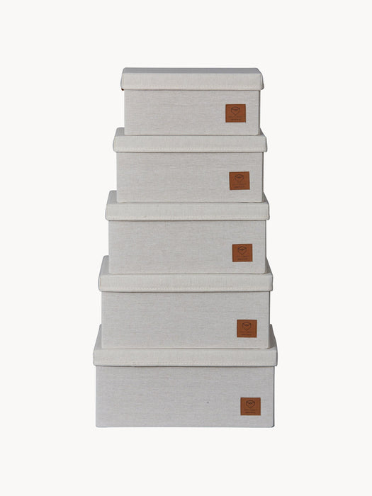 Storage Boxes Premium Set of 5