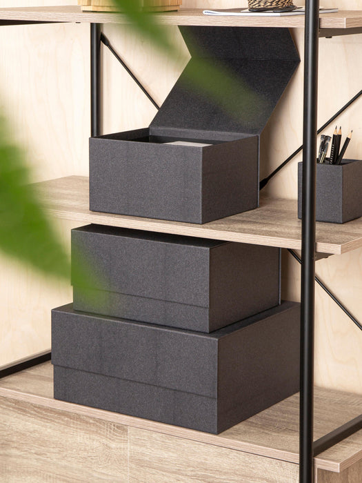 Storage Boxes Ilse, Set of 3