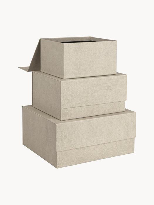 Storage Boxes Ilse, Set of 3