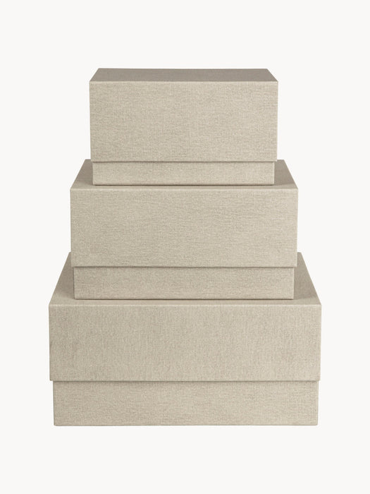 Storage Boxes Ilse, Set of 3